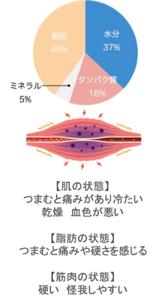 痩せる仕組み