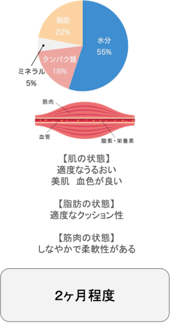 施術期間の目安