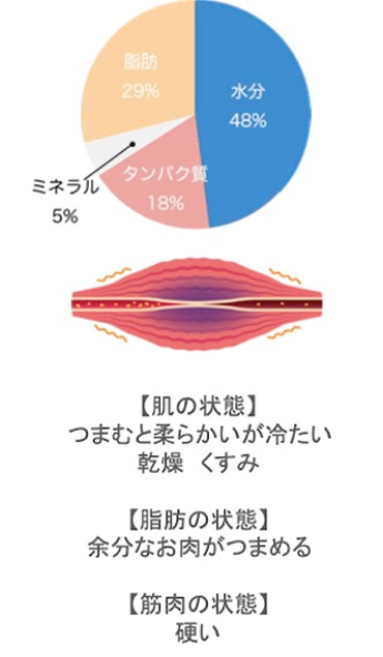 痩せる仕組み