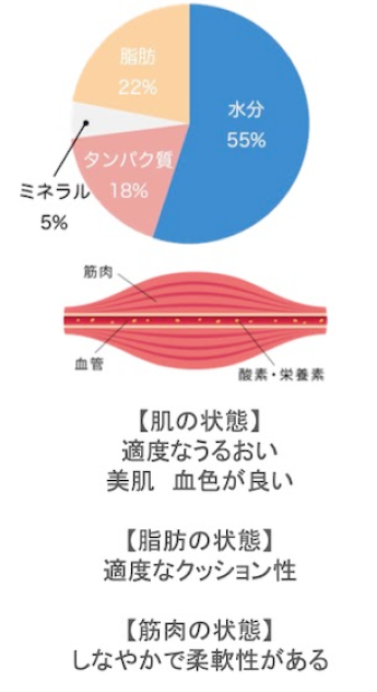 痩せる仕組み