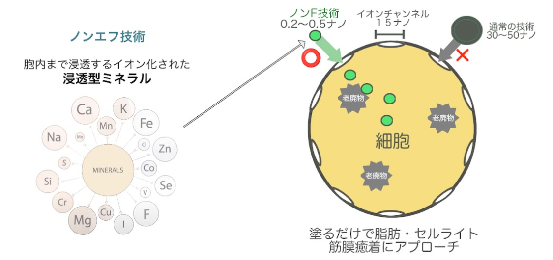 マッコイのノンエフ技術