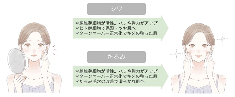 水光プラズマフェイシャルの効果②