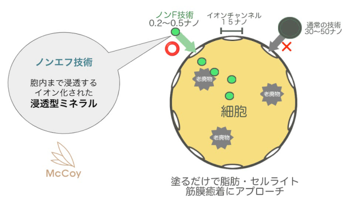 マッコイのノンエフ技術