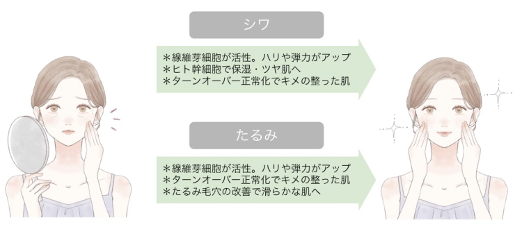 水光プラズマフェイシャルの効果②