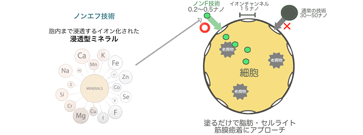 マッコイのノンエフ技術