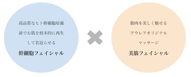 幹細胞美筋フェイシャルとは